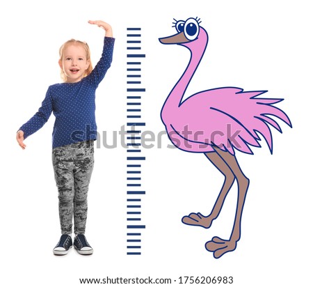 Little girl measuring height and drawing of ostrich on white background