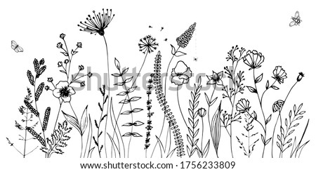 Black silhouettes of grass, flowers and herbs isolated on white background. Hand drawn sketch flowers and insects. Royalty-Free Stock Photo #1756233809