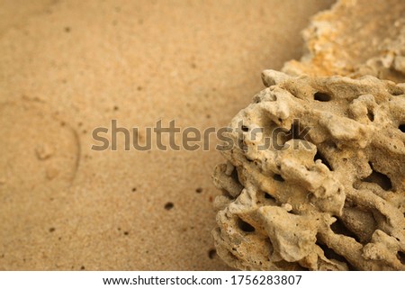 natural textures backgrounds for your articles.