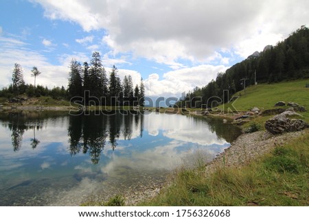 Mountain lake with meadow and spruce trees in the background