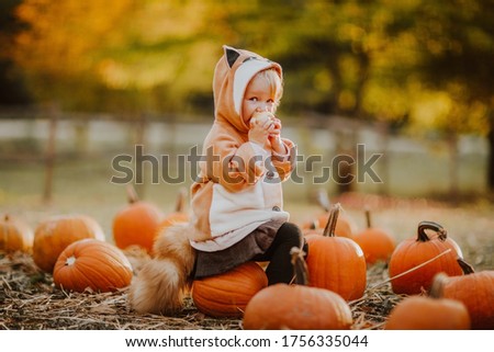 Cute toddler blond girl in fox coat and tail eating an apple on a pumpkin's field. Copy space