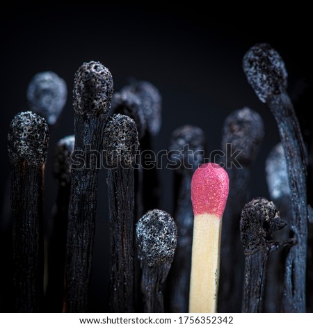 Burnt matches and match still intact. concept of danger and individuality, diversity. Royalty-Free Stock Photo #1756352342