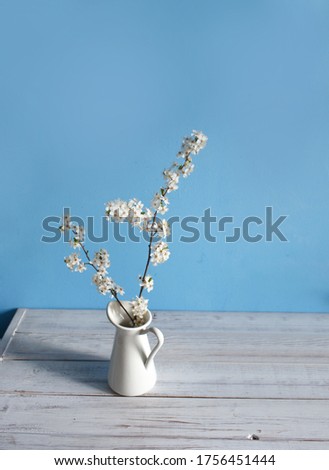 white flowers on a blue background, blooming vin on a classic blue background