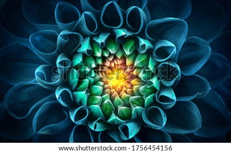 Blue-green chrysanthemum flower close-up. Macro shot. Summer and spring multi-color floral background. Royalty-Free Stock Photo #1756454156