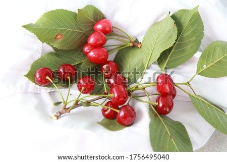 cherries and cherries on a white background