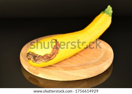 One bright yellow ripe, organic vegetable marrow on a round wooden tray, close-up, against a black background.