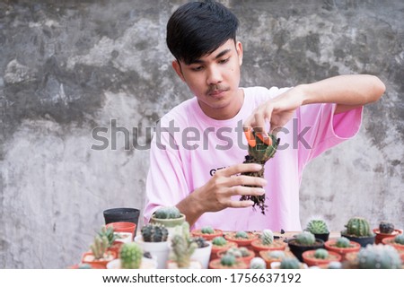 Asian young man planting cactus as a hobby at garden home.Teenage gardener working in the his cactus farm.Small business agriculture farming concept.