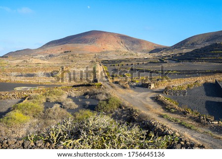 Beautiful view of La Geria vineyards region with Los Volcanes Natural Park in the background, Lanzarote -  Canary Islands, Spain