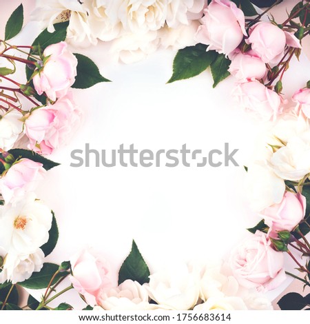 Pastel pink colored roses buds and green leaves composition on white and creamy background. Flat lay style.