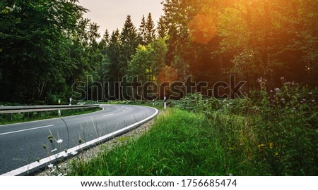 Long Curvy Forest Road In Alpine Mountains 
