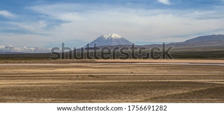 Landscape of Misti volcano with snow on the top. On the first line there is a dry and yellow land. The picture is took from a road out of arequipa.