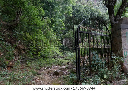 Large single black iron door closing the access to an old passage in a mysterious forest