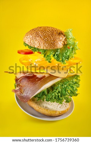 tasty american food on yellow background
