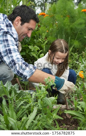 Father and daughter (5-6) gardening