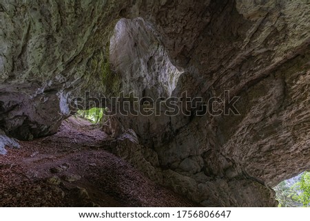 Pokljuka cave in pokljuka plateau in Julian Alps, Slovenia Royalty-Free Stock Photo #1756806647