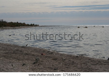 Salton Sea Landscape with Kayaks