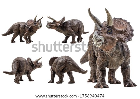 Triceratops  ,dinosaur on white background  . Royalty-Free Stock Photo #1756940474