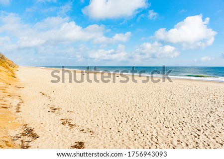 Nauset Beach,  Seashore laong beach with view to horizon. Cape Cod, USA.