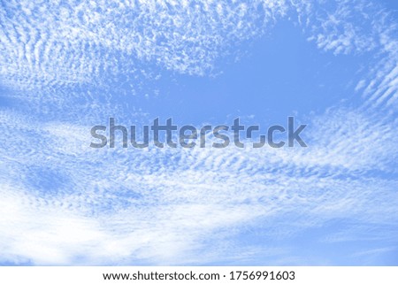 altocumulus clouds like fluff float in the sky.
