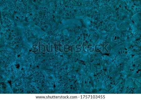 Abstract grain vibrant blue wood veneer