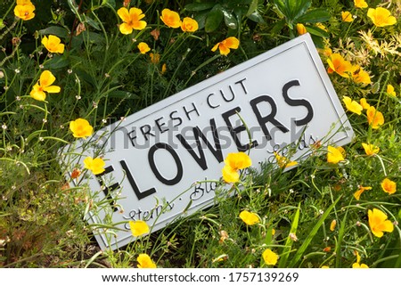 Beautiful summer flowers in a garden bed with a white sign saying fresh cut flowers. Close up of an amazing display of blooming plants of many colours with a new modern sign hidden in the flowerbed.