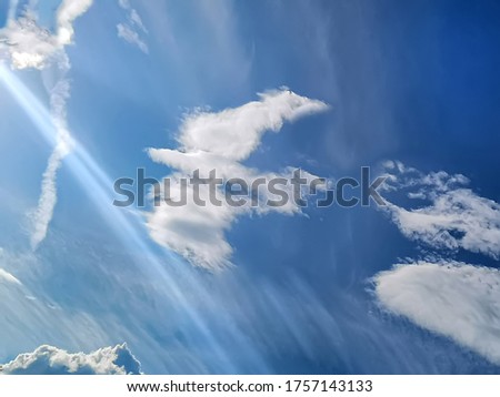 A cloud in the form of a white dove against a blue sky. Concept of god. Background texture.
