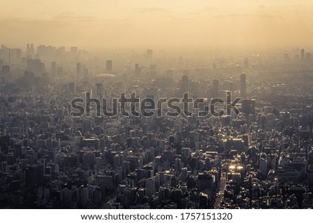 A view of the Tokyo skyline at sunset