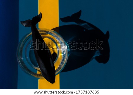 Conceptual artistic image of a black and white toy killer whale with sharp teeth in a transparent circular fish tank by the sea with brightly colored background