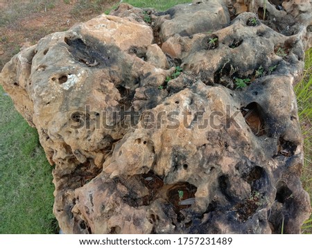 Stone embedded in the ground in a park.this picture contain soft focus and little noise.