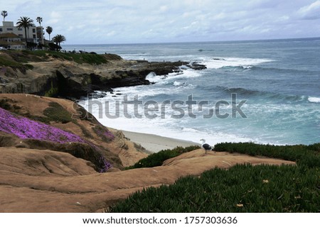 San Diego, California-Scenic Coast with palms and flowers. Waves of Pacific Ocean.