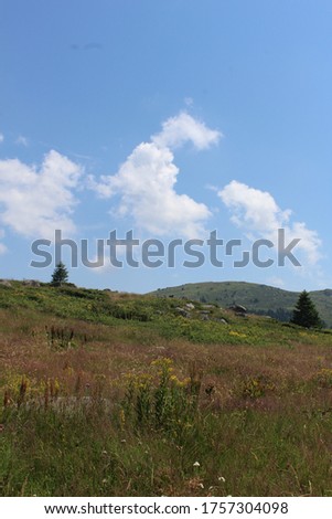 Summer mountain landscape. Beautiful mountain fields and blue sky with with big fluffy clouds.