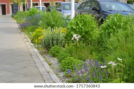 Flowers and wild plants green concept near parking lots for cars in the city Royalty-Free Stock Photo #1757360843