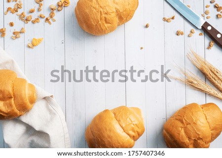 Fresh wheat bread rolls. Rolls for a hot dog or hamburger. White background copy space