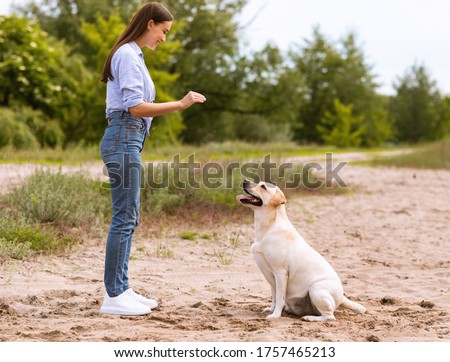 Obedience Concept. Young girl teaching her golden retriever to sit down, playing on the beach, copy space Royalty-Free Stock Photo #1757465213