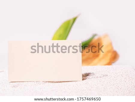 Cosmetology business card mock up. Eco natural style. Cement and green leaf. Beauty clinic card. Still life style. White backgound