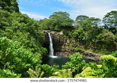 A waterfall in a rainforest in Hawaii.