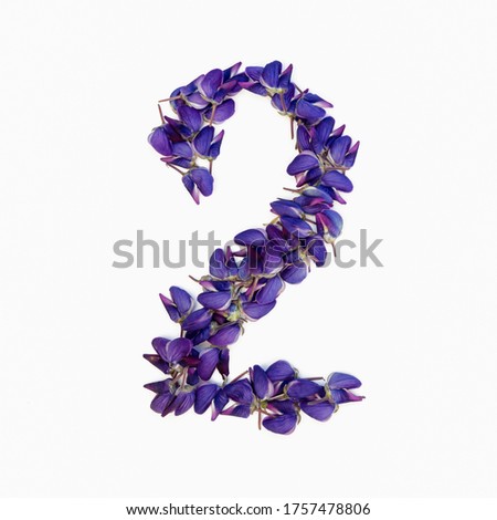 Photo No. 2 of purple flowers on a white background. Typographic design element. Part of the flower alphabet. Numeral 2.