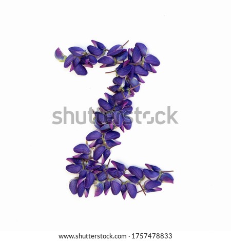 Letters of flowers, a bright alphabet of purple petals. Letter Z.