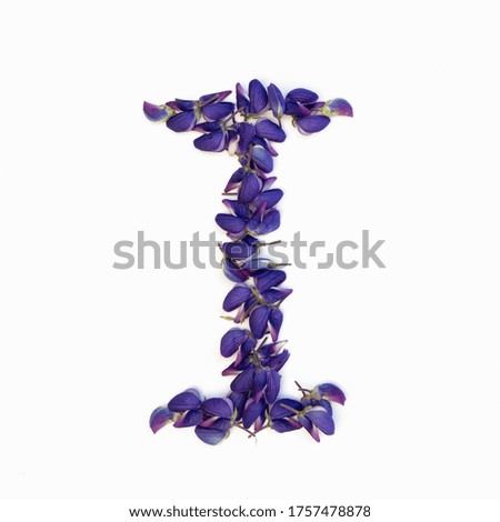 Letters of flowers, a bright alphabet of purple petals. Letter I.