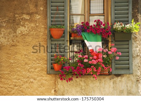 pot of flowers on the windows Royalty-Free Stock Photo #175750304