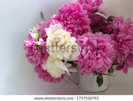 bouquet of beautiful white and pink peonies on a white background