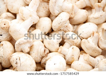 Fresh white small mushrooms in the stock