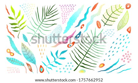 Nature tropics paradise green brightly colored leaves clip art isolated nature objects stylized ornament drawing collection.