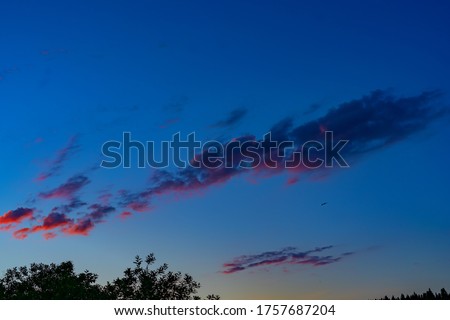 Beautiful clouds against the background of the sunset of the sun, far flying eagle