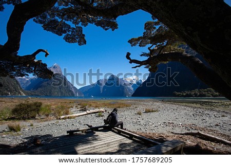 Rear view of a man sitting and looking at View of Mitre Peak with Mildford Sound, New Zealand