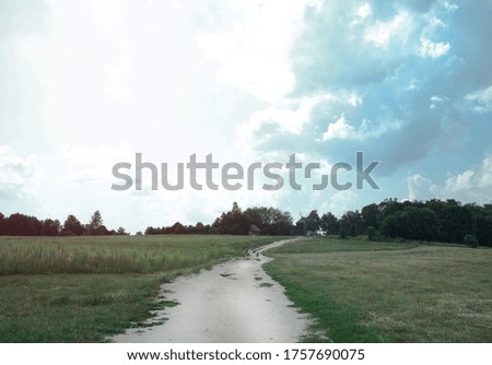 Road in the village among beautiful nature. Landscape in the summer. Stock photo background