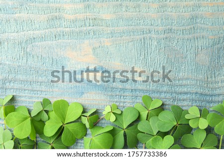 Clover leaves on blue wooden table, flat lay with space for text. St. Patrick's Day symbol