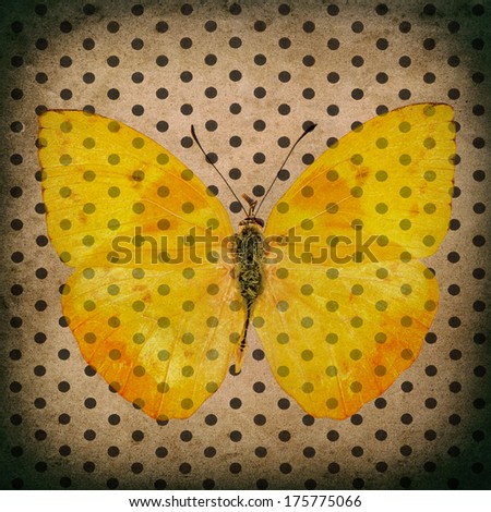 retro style picture with yellow butterfly over old fashioned polka dot wallpaper. vintage grunge background