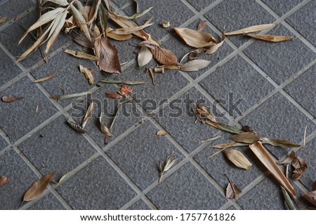 dry leafs on floor. dirty tile. garbage on ground in garden.