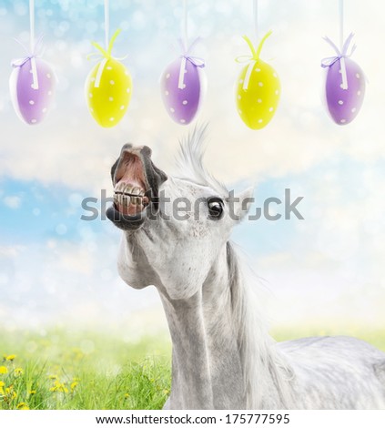 White horse runs to hanging Easter eggs on spring background 